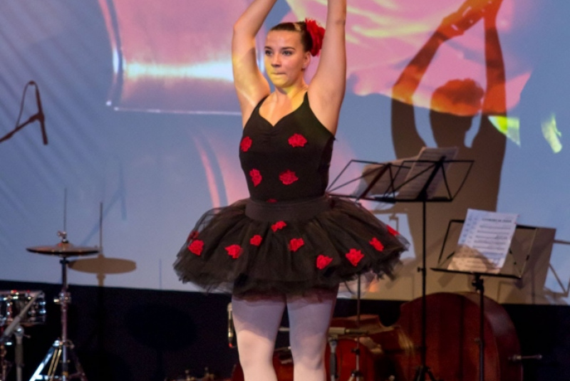 Naša ZUŠ