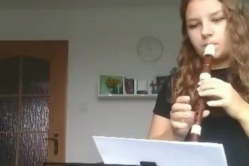 Online vyučovanie počas pandémie